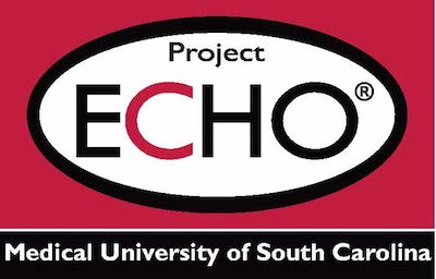 project echo logo